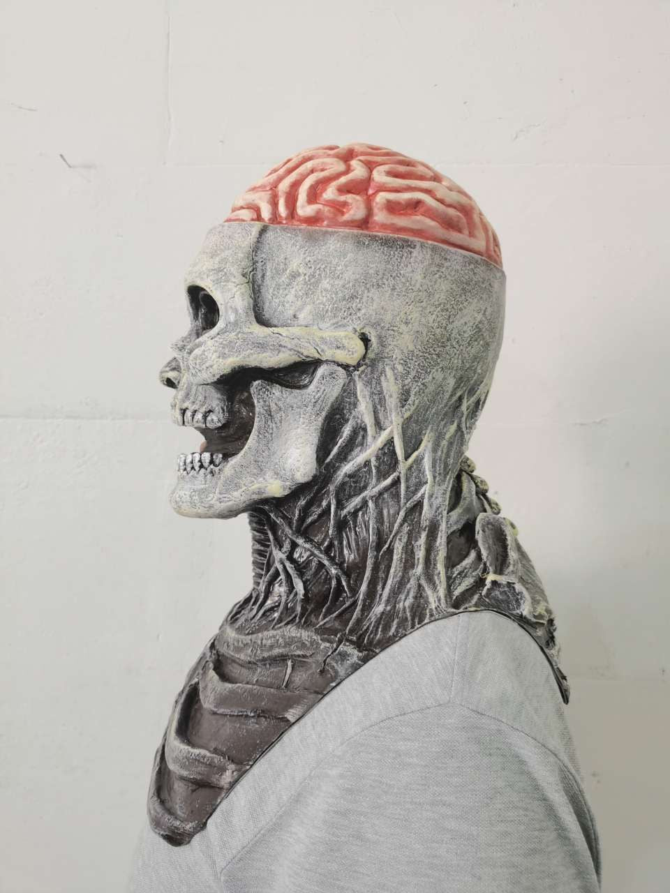 557006731